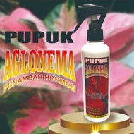 pupuk cair TANAMAN HIAS AGLONEMA penambah hormon 250ml + botol organik