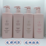 ST/🍅Oat Amino Acid Washing and Protection Series Jiao Yue Shampoo Fragrance-Retaining Soft Oil Control Anti-Dandruff Sha