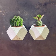 【野草不野】空浮石情人植栽 / 磁吸水泥盆栽