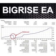 Forex Robot BigRise EA