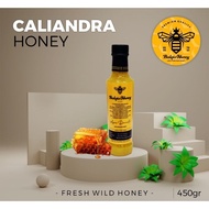 Raw Honey Calliandra Madu Tualang Asli Organic