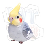 Australian Gray Parrot Animal Paper Model - Cockatiel 3d puzzle 3d拼图 3d立体拼图