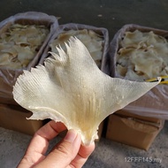 Borong Ikan Syaitan Sayap Anjing Laut Bahan Katering Hotel Laut Utara Makanan Laut Khas Barangan Ker