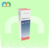 Inj Vit B12 Btl 50 Ml Medion Multivitamin Hewan Besar
