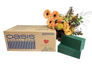 Oasis Advantage โอเอซิส แอทแวนเทจ โฟมปักดอกไม้ อุปกรณ์จัดดอกไม้