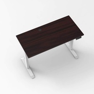 Smart Electric Lifting Desk Standing Desk Ergonomic Desktop Computer Desk Pneumatic Lifting Desk