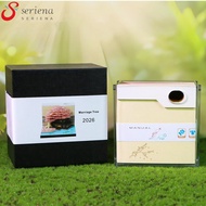 [Seriena.my] Time Piece Calendar 2026 3D Calendar 2026 with Led Light 3D Memo Pads Calendar Creative