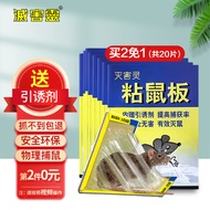 灭害灵粘鼠板 老鼠贴 老鼠药 超强威力大号加厚灭鼠神器家用黏鼠板 强力粘鼠板10片装