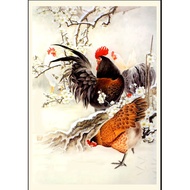 5D diamond paintings, diamond art paintings