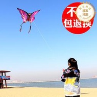 風箏濰坊恆江蝴蝶老鷹兒童卡通飛機成人易飛形體2023年款中國網紅