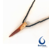 Kalung Liontin Taring Babi Asli Kalimantan