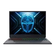 5070TI Thunderobot 雷神 獵刃16 16.0寸 I9-13900H 16G/1TS 5070TI-12G 300H 2.5K 灰色