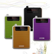 Rolton voice amplifier