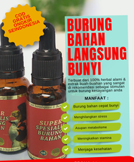 burung ombyokan langsung gacor super spesialis burung bahan