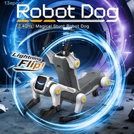 EPOCH Robot Dog, Singing Dancing Bionic RC Robot Dog, Stunt Robot Programmable Electric Pet Voice Co