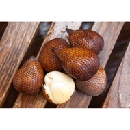 BUAH SALAK KAMPUNG | SALAK FRUIT | BUAH SALAK