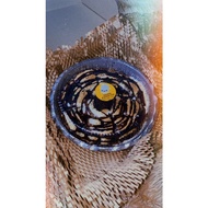 SMORES DIP BY NQYSYA