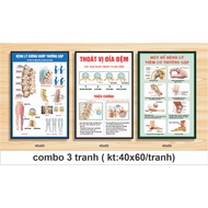 Oriental medicine painting of bones and joints 3 paintings (size: 40x60/picture = 1.2m)