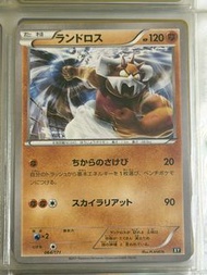 PTCG 寶可夢 日文 XY  土地雲 舊卡 傷卡 入簿品 不另拍照 Pokemon card game