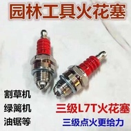 Spark Plug Agricultural Machinery Microcultural Machinery Polishing Machine Lawn Machine 168F170/F7T