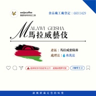 Weijue Green Beans Africa Malawi Geisha Washed Coffee