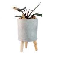 ♞,♘Classy Elevated Cement Planter for House Plants | Cement Pots