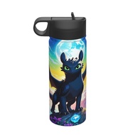 How To Train Your Dragon Large capacity insulated water bottle with Straw18OZ, 500ML sports water bo