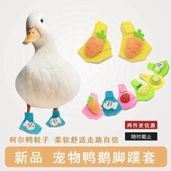 ⛅️Free Shipping🌈Taoyuan Shipment☀️Can Open Tickets⛅️Pet Supplies Duck Chicken Goose Shoes Pet Duck C