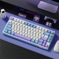 RK R75Pro คีย์บอร์ดเกมไร้สายแบบมีสาย 3 แบบ ปรับแต่งได้ สำหรับใช้ในออฟฟิศและคอมพิวเตอร์ สำหรับผู้ชายแ