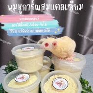 Sugar Glider Milk Supplement Replacement Sugar Glider Food Sugar Glider Milk