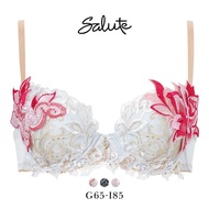 Wacoal Salute 38G BTJ438 P-UP push-up bra (Sizes G-I)(40BTJ438GI)(Direct from Japan)1