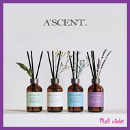 [Ascent] Nature Flower Diffuser Aroma Essential Oil Reed Diffuser Ascent Fragrance 200ml