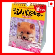 【Direct From Japan】Active Corporation 2026 Desk Calendar (Because it's Shiba) 26ACL-566 Starts Janua