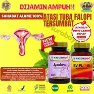 OBAT ATASI TUBA FALOPI TERSUMBAT Obat Hidrosalping Tuba Falopi Limited