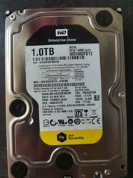 WD Enterprise 1TB SATA 硬碟 WD1003FBYZ