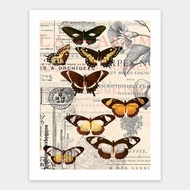 Pintoo Jigsaw Puzzle Butterfly Pattern 300pcs H1584