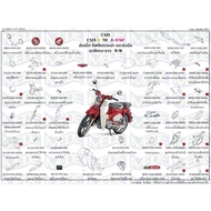 HONDA Super Cub C125 (23年式/泰規) 車殼組 (西裝/側殼/前土除/尾殼/面殼)