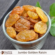 500Gram Nutty Lover Premium Jumbo Golden Raisin USA
