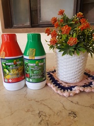 1 SET POWER GROW FOLIAR ORGANIC FERTILIZER 250ML (1 GREEN &amp; 1 RED). GREEN FOR GROWTH BOOSTER &amp; FRUIT FLOWER ENHANCER PERFECT COMBINATION FROM VEGETATIVE TO REPRODUCTIVE STAGE COMPLETE WITH MACRO &amp; MICRO NUTRIENTS. FPA Approved Fertilizer OCCP