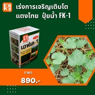 ปุ๋ยน้ำ เร่งการเจริญเติบโต เพิ่มผลผลิต แตงไทย ประสิทธิภาพสูง FK-1 เร่งโต FK-3 ขยายขนาดผล สำหรับพืชออ