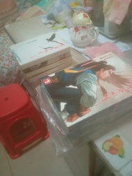 射鵰英雄傳小說(全)及漫畫1-16(未完)