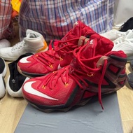 LeBron 12 elite team