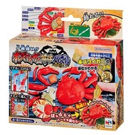 Megahouse 長腳蟹的結構模型 (附蟹糕ver.)