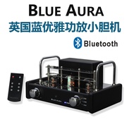 Small Tube Amplifier Bluetooth Mini Amplifier Desktop Speaker Set Room Speaker Personal Audiophile S