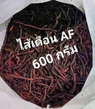 ไส้เดือน AF บรรจุ 600 กรัม