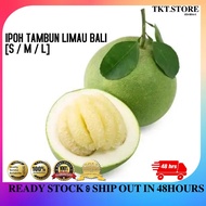 TKT Ipoh Famous Tambun Pomelo Sweet & Sweet-Sour / Tambun limau Bali [ Halal ][ M, L , XL ]