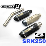 Exhaust SRK250 Slip On Piping Stainless Steel Project79 Muffler Project 79 QPM05SV/BK/CB Ekzos QJ Mo