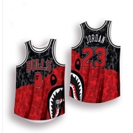 BULLS BAPE CONCEPT HG JERSEY