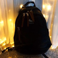 Gregory Backpack