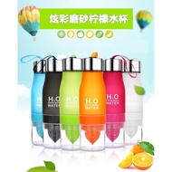H2O Fruit Infuser Water Bottle